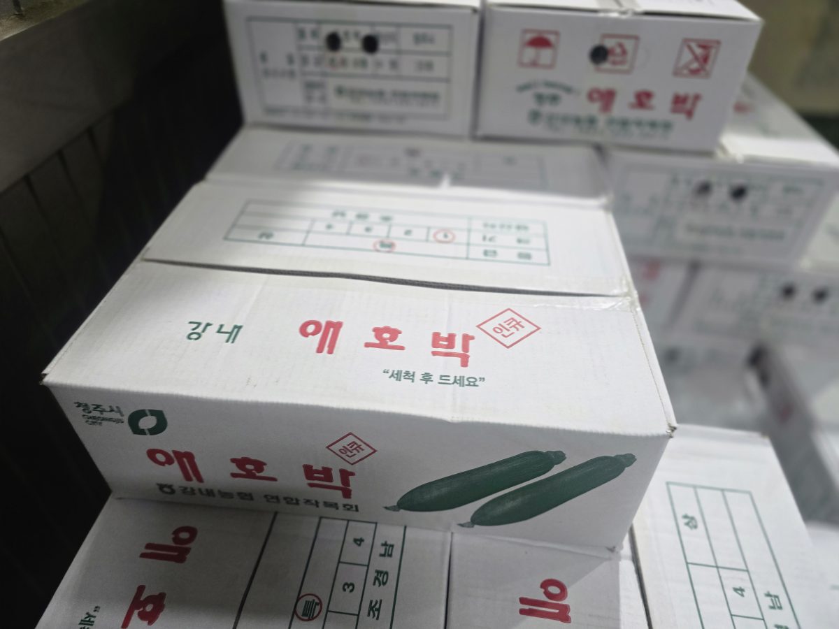 시장현장