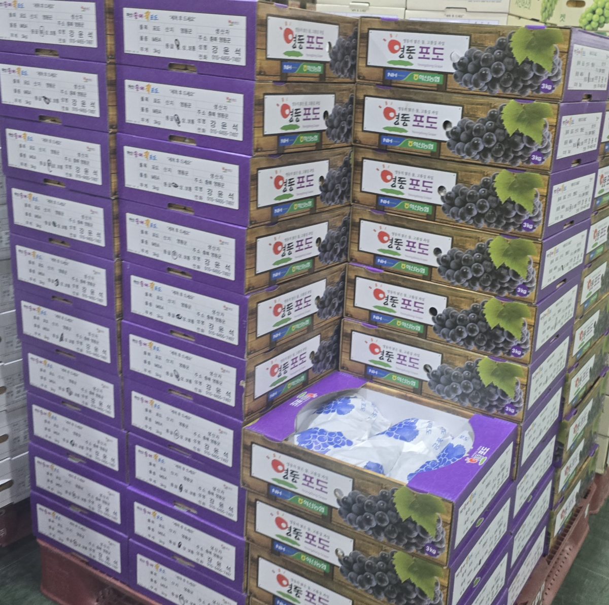 시장현장