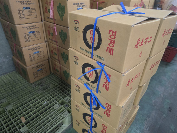 시장현장