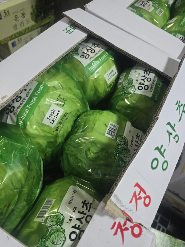 시장현장