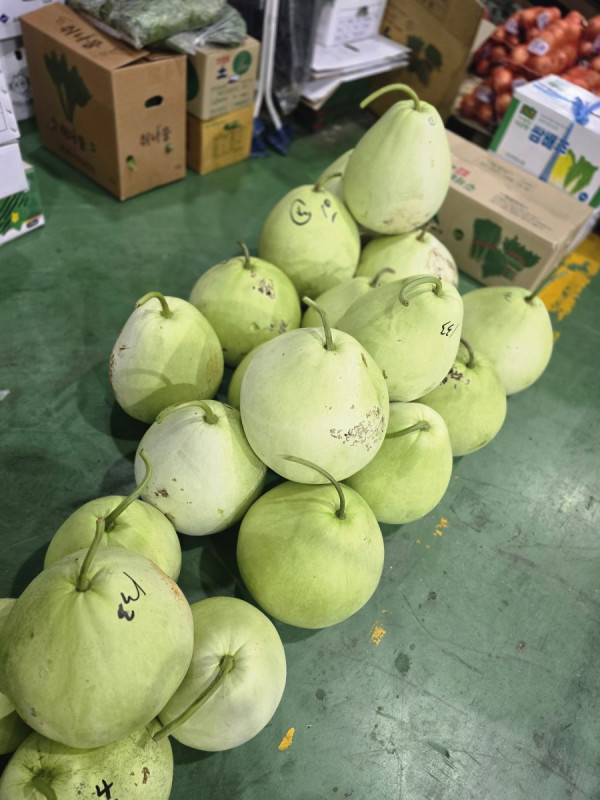 시장현장