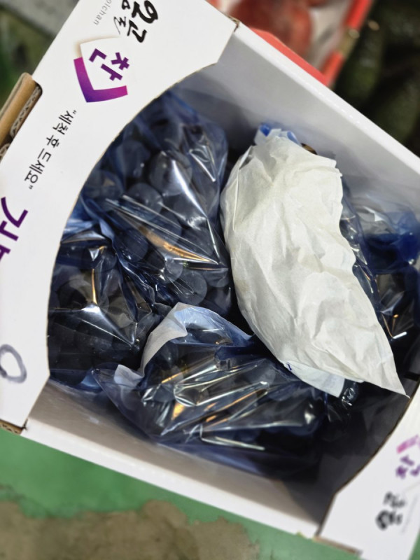 시장현장