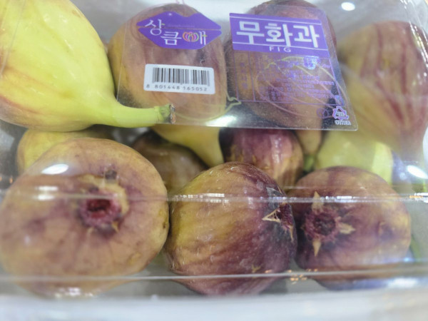 시장현장