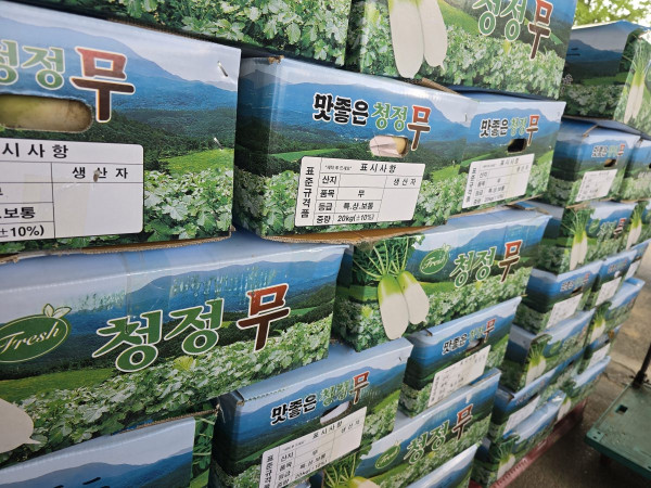 시장현장